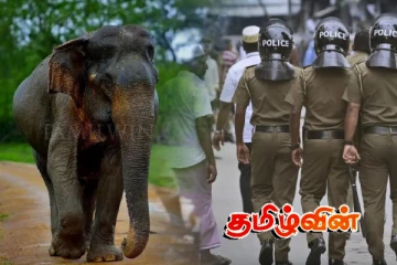 வாழைச்சேனையில் மீன்பிடிக்கச் சென்றவர் யானை தாக்குதலில் உயிரிழப்பு