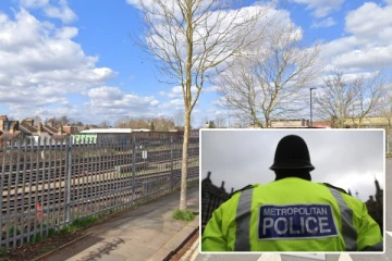 பிரித்தானியாவில் பொலிஸாரால் துரத்தப்பட்ட நபர்: லண்டன் ரயில் பாதையில் இறந்து கிடந்ததால் பரபரப்பு