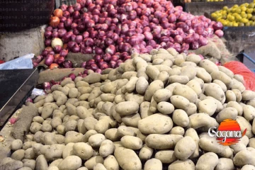 ලොකු ලූනු හා අර්තාපල් ආනයනික බදු වැඩි කිරීමට COPA අනුමැතිය