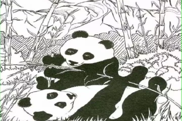 Optical illusion: படத்தில் மறைந்திருக்கும் காலணியை கண்டுபிடிக்க முடியுமா?