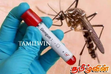 நாட்டில் டெங்கு நோயாளிகள் அதிகரிப்பு