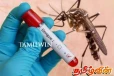 நாட்டில் டெங்கு நோயாளிகள் அதிகரிப்பு