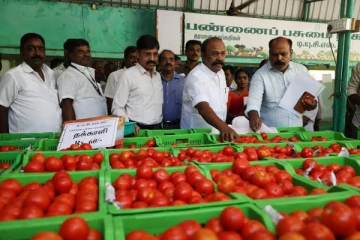 ரேசன் கடைகளில் இனி தக்காளி விற்பனை - தமிழக அரசு அதிரடி நடவடிக்கை..!