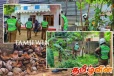 வவுனியாவில் பொலிஸார் திடீர் சோதனை : பலருக்கு எதிராக வழக்கு பதிவு
