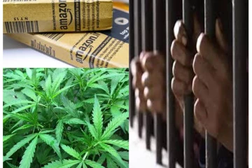 துளசி என கூறி அமேசானில் கஞ்சா இலைகள் கடத்தல் - அதிர்ச்சி தகவல்