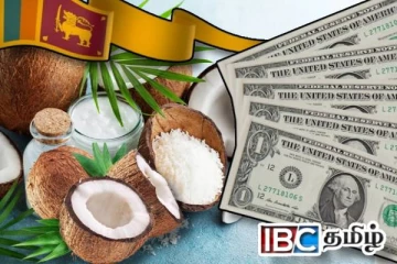 தேங்காய் ஏற்றுமதி : இலங்கைக்கு கிடைத்த பல மில்லியன் அமெரிக்க டொலர்கள்