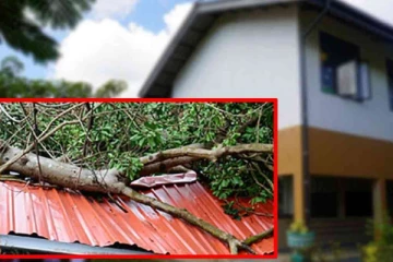 பாடசாலை மீது மரக்கிளை விழுந்ததில் ஒருவர் பலி; 17 மாணவர்கள் காயம்