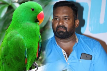கிளி வளர்த்தது குற்றமா? பிரபல நடிகருக்கு ரூ.2.5 லட்சம் அபராதம்!