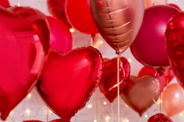 காதலர் தினத்தை முன்னிட்டு தெஹிவளை விலங்கியல் பூங்காவில் சிறப்பு வாய்ப்புக்கள்