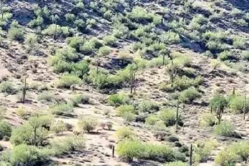 Optical Illusion: மலையில் உலாவும் குதிரையை கண்டுபிடிக்க முடியுமா?