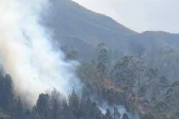 இராவண எல்ல வனப்பகுதி தீப்பரவல் கட்டுப்பாட்டுக்குள்