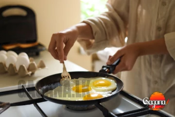 මේවා දැනගෙන ද බිත්තර කන්නේ?