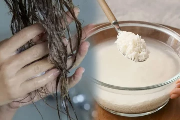 முடி நீளமாக வளர அரிசி நீரை இப்படி யூஸ் பண்ணுங்க