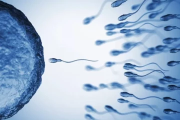 දශක 5ක් තුළ පුරුෂයින්ගේ ශුක්‍රාණු සාන්ද්‍රණය 51%කින් අඩුවෙයි. හේතුව මෙන්න.