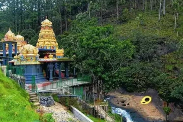 இலங்கைக்கு படையெடுக்கும் இந்தியர்கள்; காரணம் என்ன தெரியுமா?