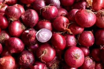 ළුෑණු අපනයනය කැපී පෙනෙන ලෙස ටොන් ගණනින් පහත වැටෙන්නේ මෙන්න මෙහෙමයි...