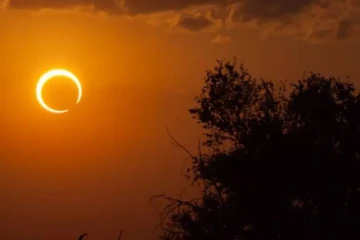 நாளை சூரிய கிரகணம்! கண்டிப்பாக இந்த பரிகாரங்களை செய்திடுங்கள்