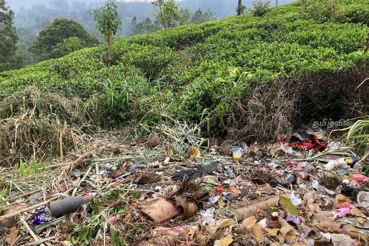 நானு ஓயாவில் குவிந்து கிடக்கும் குப்பைகளால் தொற்று நோய் பரவும் அபாயம் | Garbage Piled Up On The Street In Nanuoya