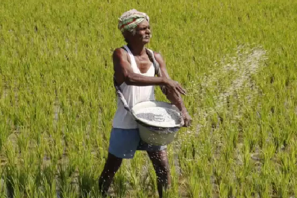 கோட்டாபய தொடர்பில் நாமலுக்கு ஏற்பட்டுள்ள சந்தேகம் | Gotabaya Namal Fertilizer Scheme Sl