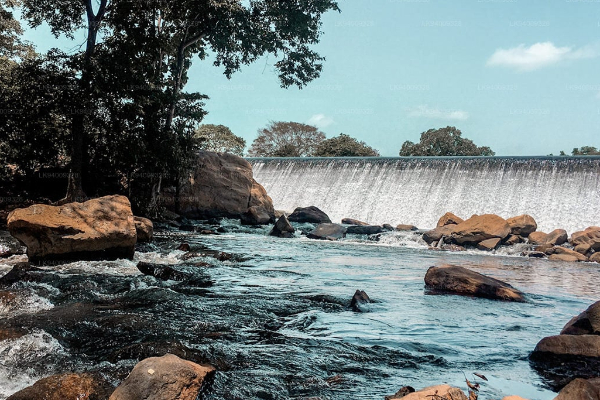 கலா ஓயாவின் வான்கதவுகள் திறப்பு : விடுக்கப்பட்டுள்ள எச்சரிக்கை | Spill Gates Of Kala Wewa Opened Warns To Residents