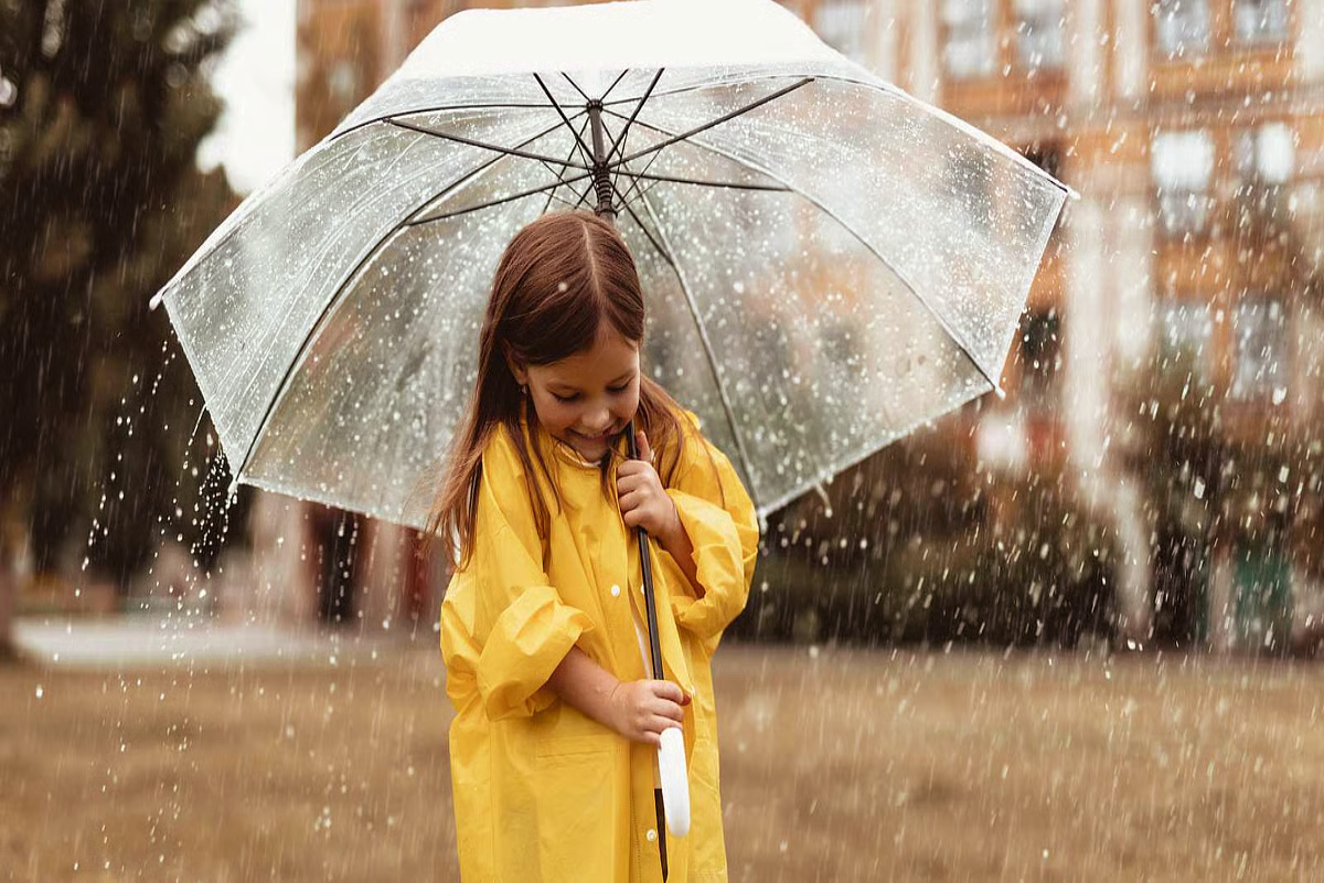 மழைக்காலத்தில் தயிர் சாப்பிடக் கூடாதா? | Shouldn T You Eat Curd During The Rainy Season