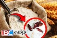 பாரியளவில் சிக்கிய நுகர்வுக்கு பொருத்தமற்ற கோதுமை மா