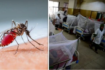 நாட்டில் அதிகரிக்கும் டெங்கு நோய் தாக்கம்