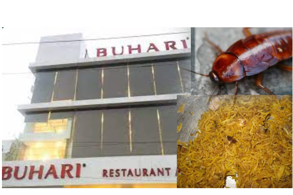 பிரியாணியில் கிடந்த கரப்பான் பூச்சி... - சமையலறையில் நெண்டிய புழு, பூச்சிகள்... பிரபல புகாரி ஓட்டலுக்கு சீல் - அதிகாரிகள் அதிரடி - தமிழ்நாடு