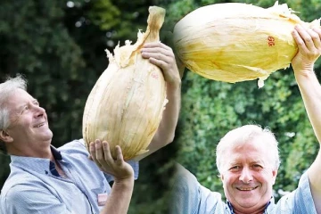 உலக சாதனை படைத்த வெங்காயம்