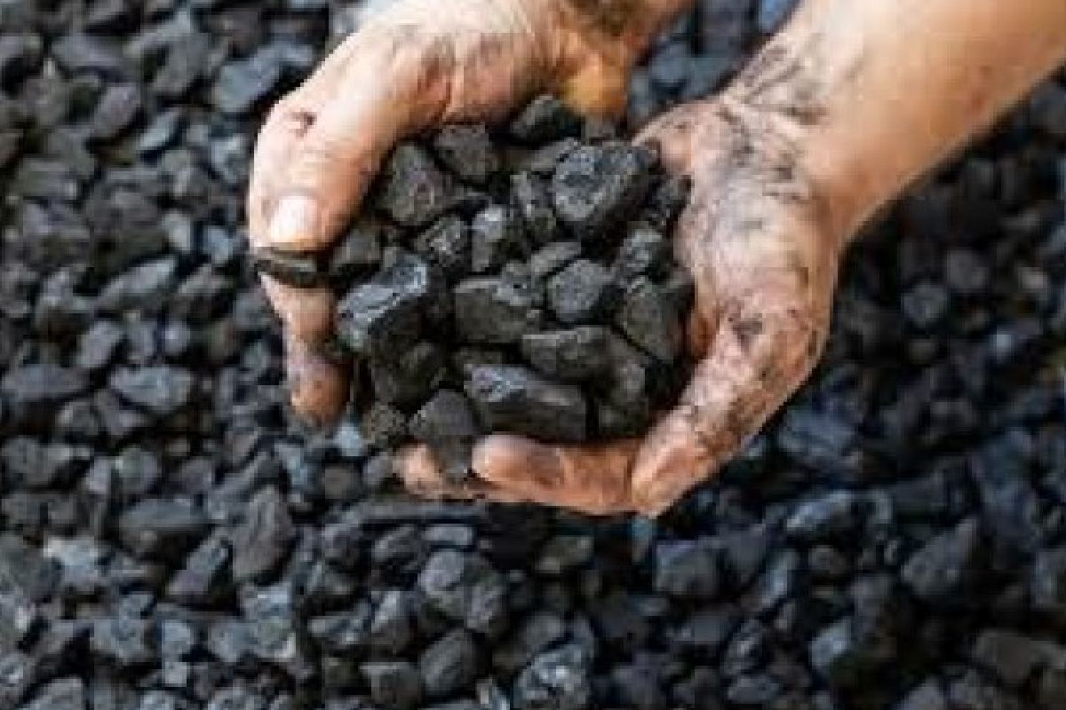 தரமற்ற நிலக்கரி இறக்குமதி - மின்சார மாபியாவுக்கு தீனி போடும் அரசு : சஜித் சாடல் | Govt Electricity Mafia Importing Substandard Coal