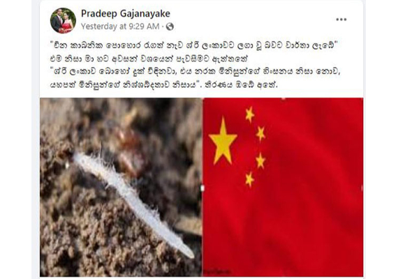 இலங்கையின் எதிர்கால விவசாயத்திற்கு ஏற்பட்டுள்ள சிக்கல்! | Problem For Sri Lanka S Future Agriculture