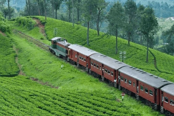 மலையக ரயில் சேவைகளில் மாற்றம்