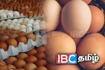 சீரற்ற வானிலையால் அதிகரிக்கப்படும் முட்டை விலை!