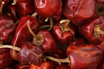 அந்தரங்க உறுப்பில் கொச்சிக்காயை அரைத்து ஊற்றியதாக வழக்கு