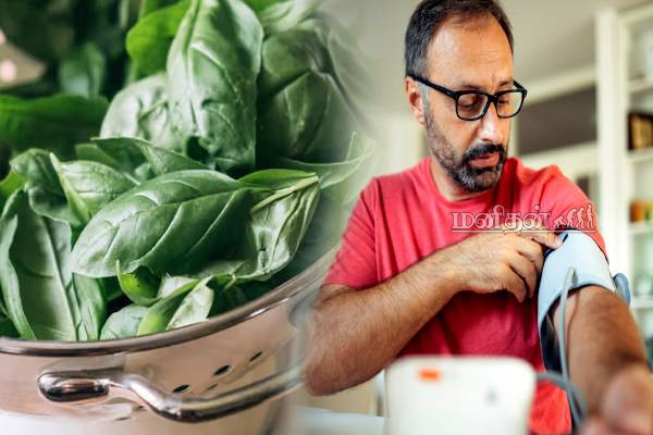 ஒரு மாதம் மட்டும் டிரை பண்ணுங்க.. ரத்த அழுத்தம் மருந்து இல்லாமல் குறையும் | Home Remedies To Control Blood Pressure Problems