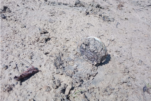 தமிழர் பகுதியில் கண்டுபிடிக்கப்பட்ட கண்ணிவெடி! | Discovery Of Landmines In Urkavatthurai