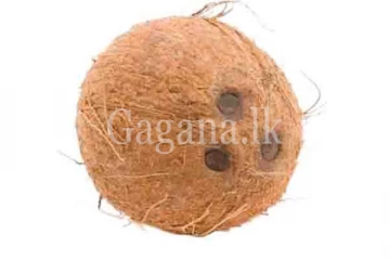 රු.4000ට නැගපු ලංකාවේ පොල්.