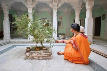 மறந்தும் வீட்டில் இந்த திசையில் துளசி செடியை வைக்க கூடாது