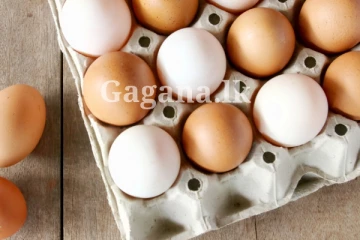 යළිත් වෙළෙඳපොළෙහි බිත්තර හිඟයක් - බිත්තර මිලට කුමක් වෙයිද?..