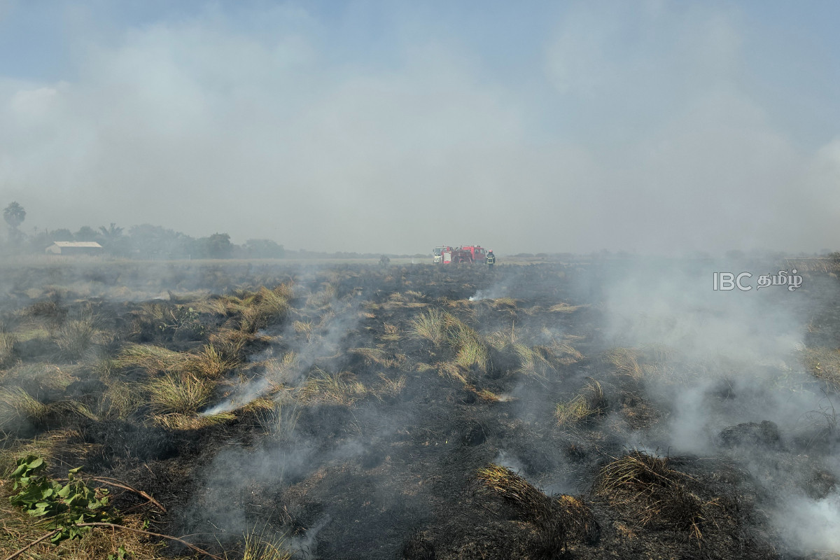 யாழ் அச்சுவேலி கதிரிப்பாய் பகுதியில் திடீர் தீ பரவல்! | Fire Breaks Out In Achchuveli Jaffna யாழ் அச்சுவேலி கதிரிப்பாய் பகுதியில் திடீர் தீ பரவல்! | Fire Breaks Out In Achchuveli Jaffna