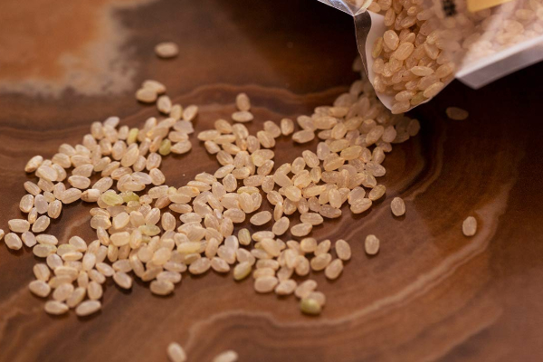 ஒரு கிலோ அரிசி 13 ஆயிரம் - எங்கணு தெரியுமா? அந்த அரிசியில் அப்படி என்ன இருக்கு? | Worlds Most Expensive Rice Cost And Grown Detail ஒரு கிலோ அரிசி 13 ஆயிரம் - எங்கணு தெரியுமா? அந்த அரிசியில் அப்படி என்ன இருக்கு? | Worlds Most Expensive Rice Cost And Grown Detail