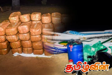 மன்னாரில் 87 மில்லியன் ரூபாய்க்கும் அதிகமாக கேரள கஞ்சா பொதிகள் மீட்பு