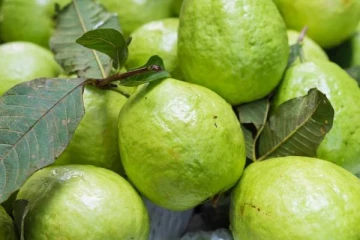 காலையில் கொய்யாப்பழம் சாப்பிடுவதால் கிடைக்கும் அற்புத நன்மைகள்