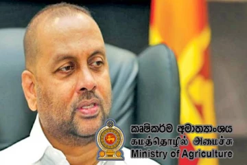 கால்நடைகளின் மருந்துகளுக்கான விலைக் கட்டுப்பாடு: முன்னெடுக்கப்படவுள்ள நடவடிக்கை