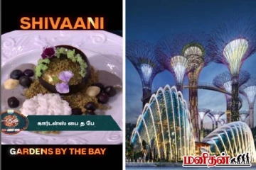 TCDC: சிங்கப்பூரின் சுற்றுலா தள வடிவில் ஷிவானி செய்த dish! இவ்வளவு பிரபலமா?
