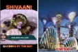 TCDC: சிங்கப்பூரின் சுற்றுலா தள வடிவில் ஷிவானி செய்த dish! இவ்வளவு பிரபலமா?