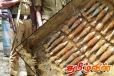 கிளிநொச்சியில் வெடிக்காத நிலையில் மீட்கப்பட்ட குண்டுகள்