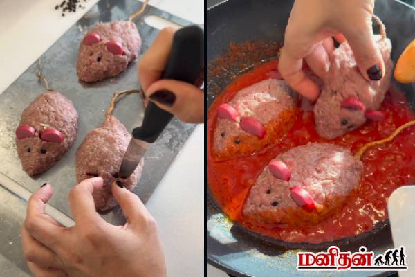 funny viral video: இது என்னடா எலிக்கு வந்த சோதன... குழம்பு ரெசிபி வேண்டுமா? | Food Recipe In Rat Design Funny Viral Video funny viral video: இது என்னடா எலிக்கு வந்த சோதன... குழம்பு ரெசிபி வேண்டுமா? | Food Recipe In Rat Design Funny Viral Video