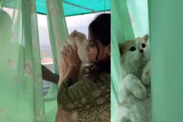 Funny Video: பூனையை குழந்தை போல தாலாட்டும் குடும்பம்...முடிஞ்சா சிரிக்காம பாருங்க