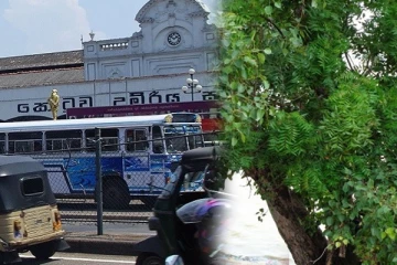 புறக்கோட்டை அரச மரத்தடியில் பிச்சையெடுக்கும் முன்னாள் ஜனாதிபதி!